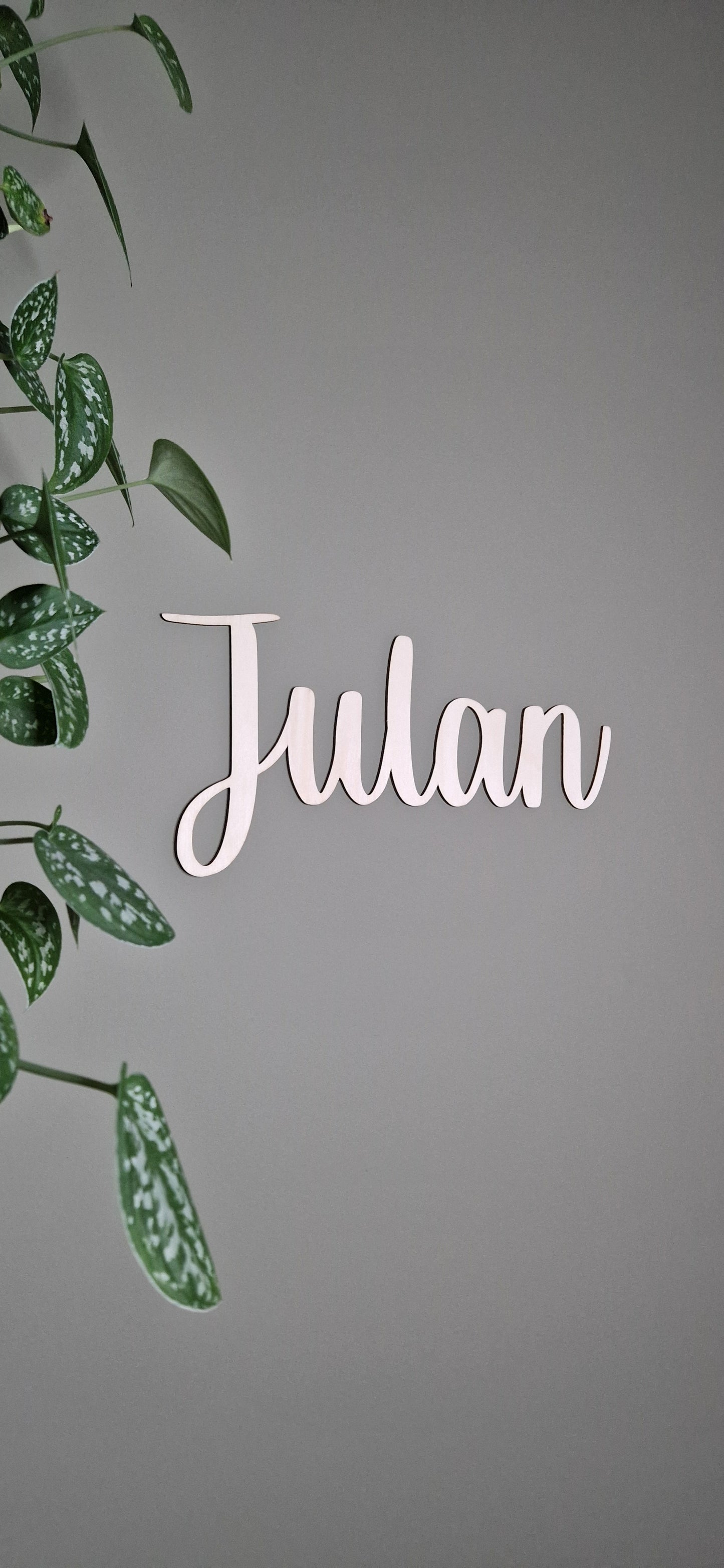 Houten naam | Lettertype Julan